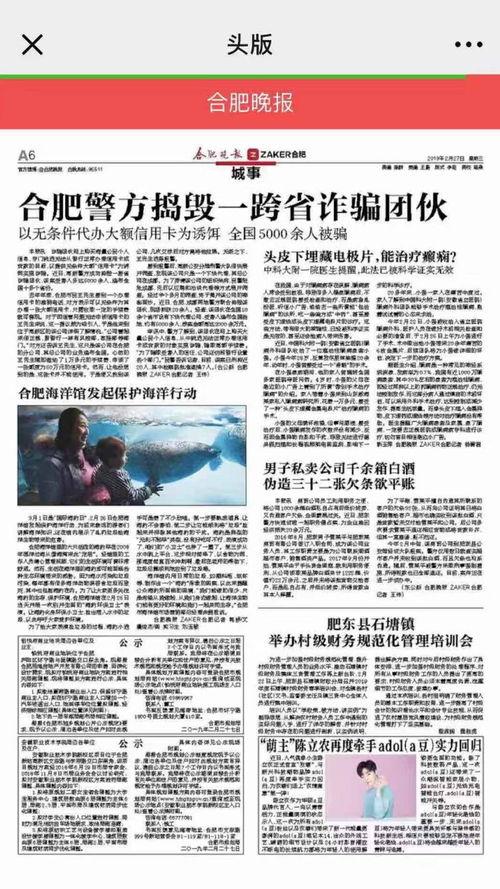 合肥作家爆料新闻最新报道,最新爆料新闻揭秘