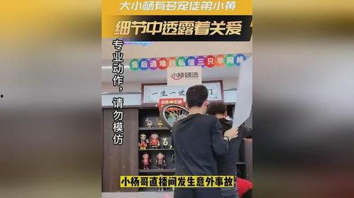 小杨哥和小黄最新爆料是真的吗,真相揭秘，是真是假？