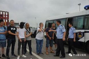 营山县被骗爆料案件最新