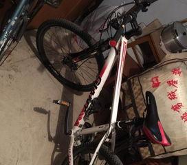 安阳自行车爆料事件最新,真相与反思